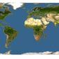 Discover Life: Point Map of Hodgsonia heteroclita